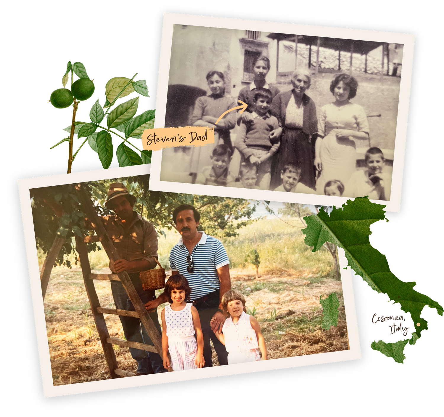 Steven Tripoli's family photos showing Fichi's rich Italian heritage.