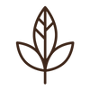 Icon 1